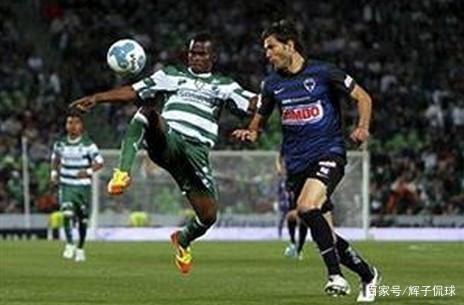 灰熊的精算 灰熊的精算