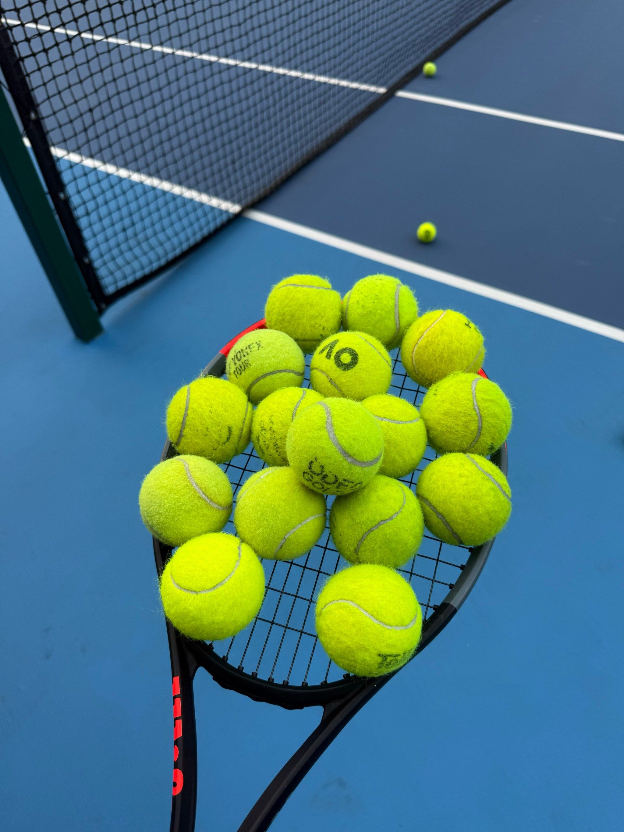 己的暴露风 己的暴露风